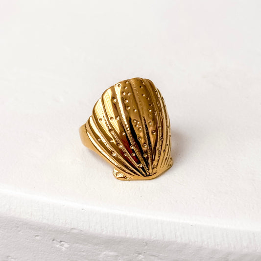 Shell Ring