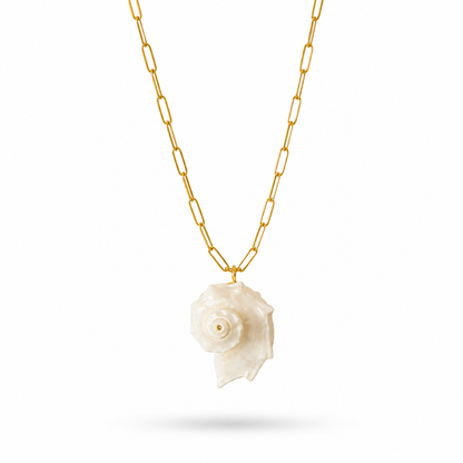 Natural Shell Necklace
